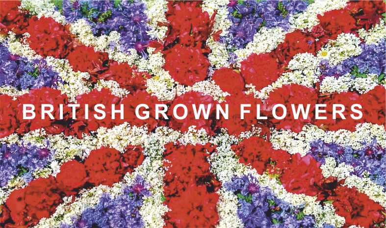 BritishFlowersRectangleLabel.jpg