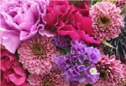 ColourBurst/CB01.jpg