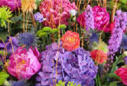 ColourBurst/CB02.jpg