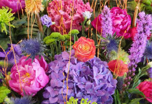 ColourBurst/CB02.jpg