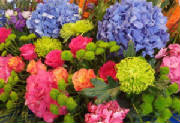 ColourBurst/CB03.jpg