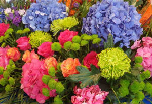 ColourBurst/CB03.jpg