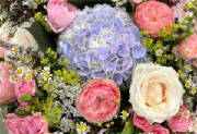 ColourBurst/CB04.jpg