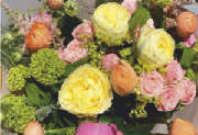 ColourBurst/CB05.jpg