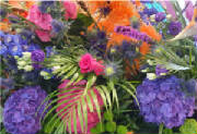 ColourBurst/CB06.jpg