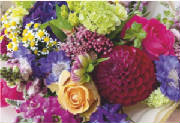 ColourBurst/CB07.jpg