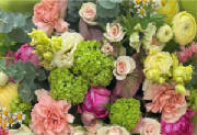ColourBurst/CB09.jpg
