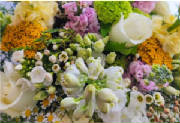 ColourBurst/CB10.jpg