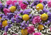 ColourBurst/CB12.jpg