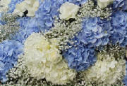 ColourBurst/CB14.jpg