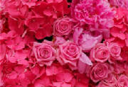 ColourBurst/CB16.jpg