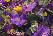 ColourBurst/CB17.jpg