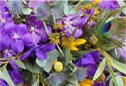 ColourBurst/CB18.jpg