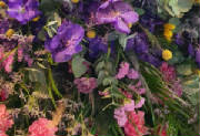 ColourBurst/CB20.jpg