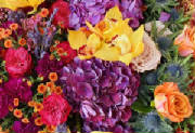 ColourBurst/CB22.jpg