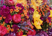 ColourBurst/CB23.jpg