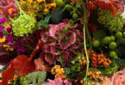ColourBurst/CB24.jpg