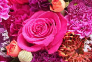 ColourBurst/CB28.jpg