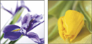 GreetingCards/greetingcardsq1.jpg