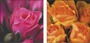 GreetingCards/greetingcardsq2.jpg